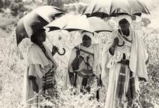 Women Holding Umbrellas and Celebrating Sigd in Ambover, Ethiopia