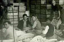 Three men and one woman sit on the floor surrounded by crates of oranges they are packing. 