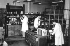 Gertrude Elion and Colleagues in Burroughs Wellcome Laboratory, 1948