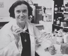 Rosalyn Yalow in the Laboratory, 1977