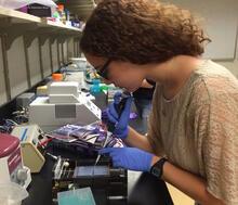 2016-2017 Rising Voices Fellow Maya Jodidio Pipetting DNA into a Gel
