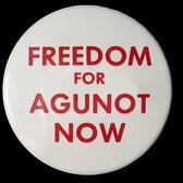 "Freedom for Agunot Now" Pin