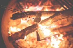 Marshmallows Over a Campfire