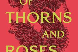 A Court of Thorns and Roses Book Cover: red background with black dragon in the background, Sarah J Maas at the bottom