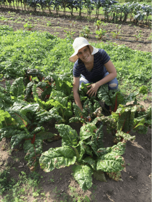Janna Siller, wearing a white hat, squatting among plants and produce on a farm