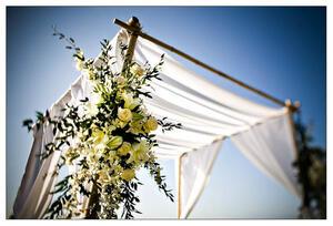 Chuppah