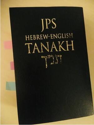 Nina Baran's Tanakh