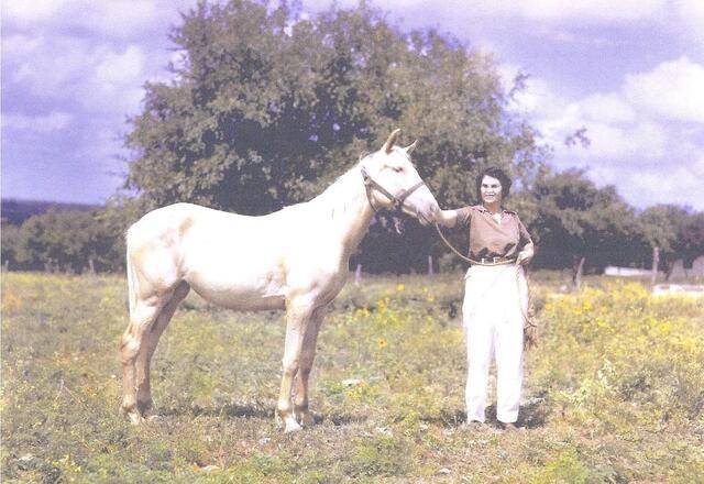 Frances Kallison standing beside a white horse