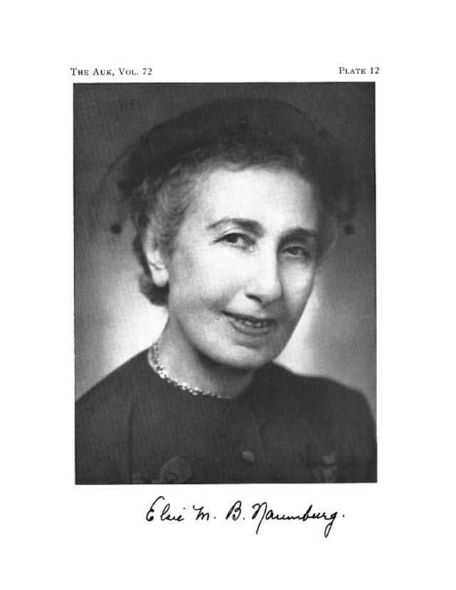 Elsie Margaret Binger Naumburg (1880-1953)