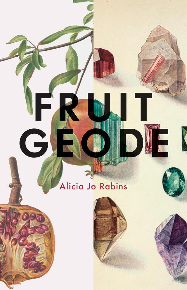 Fruit Geode Book Cover