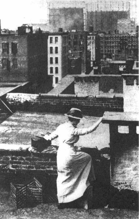 Nurse Climbing Across Rooftops