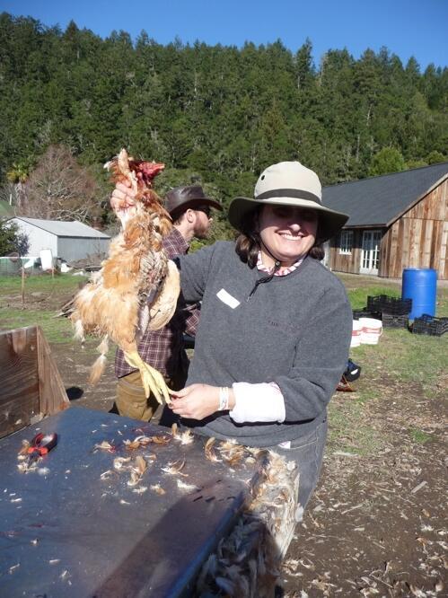 Preeva Tramiel Plucking a Chicken